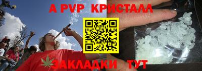 прущие грибы Анапа